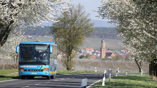 Mainschleifen-Freizeitbusse